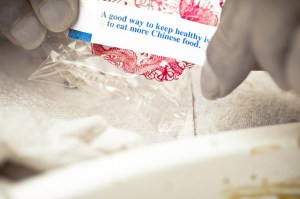 Photo credit: David Goehring